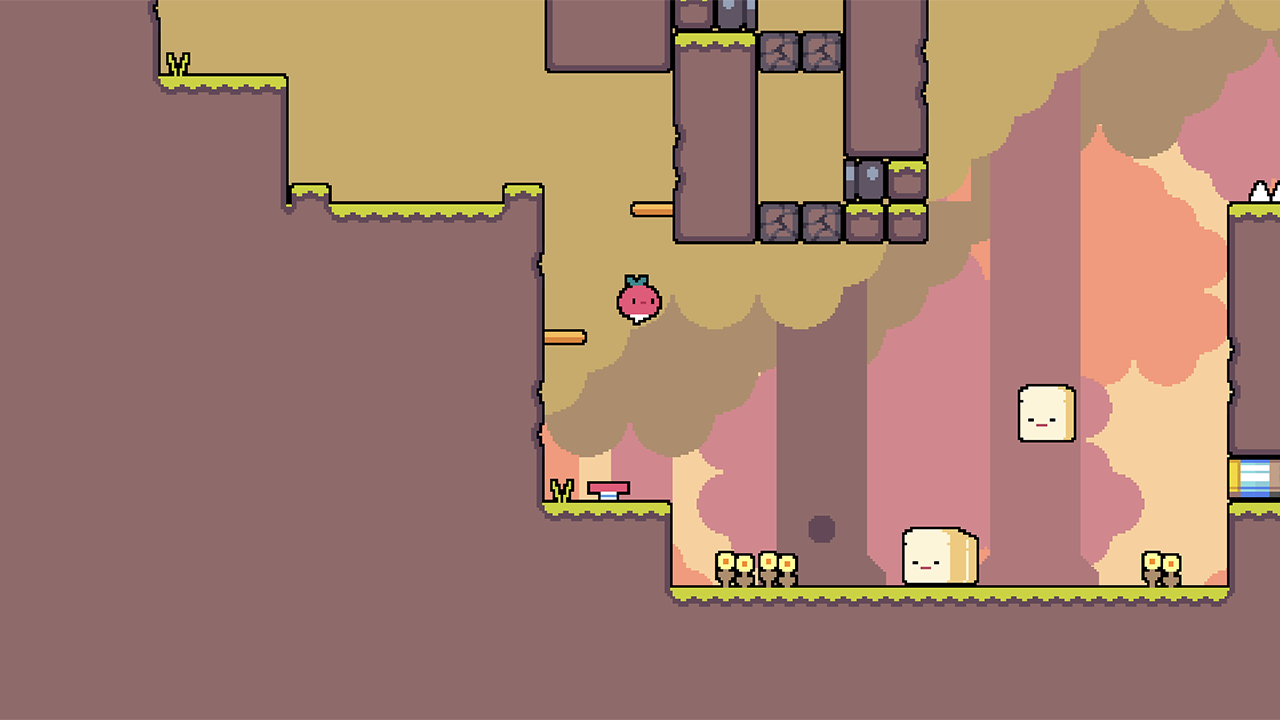 dailydadish-forest.png